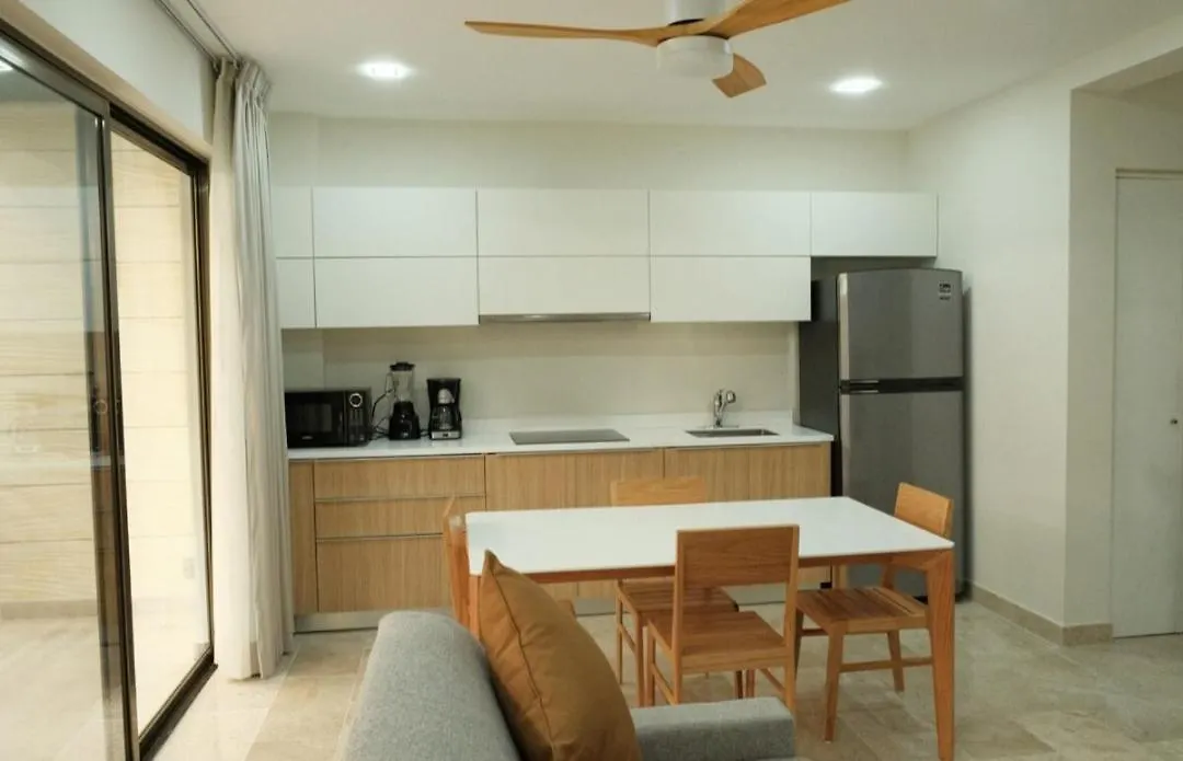 Brava 205 Condominio De 1 Dormitorio Aldea Zama تولوم
